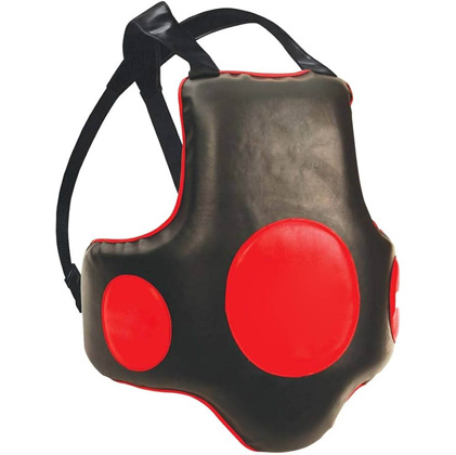 Body Protective Shield
