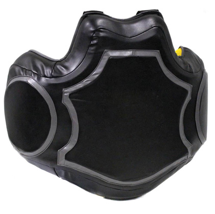 Body Protective Shield